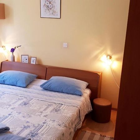 Apartment Neda Z-Velika Okucnica, Besplatni Parking I Opticki Wi-Fi ラビン エクステリア 写真
