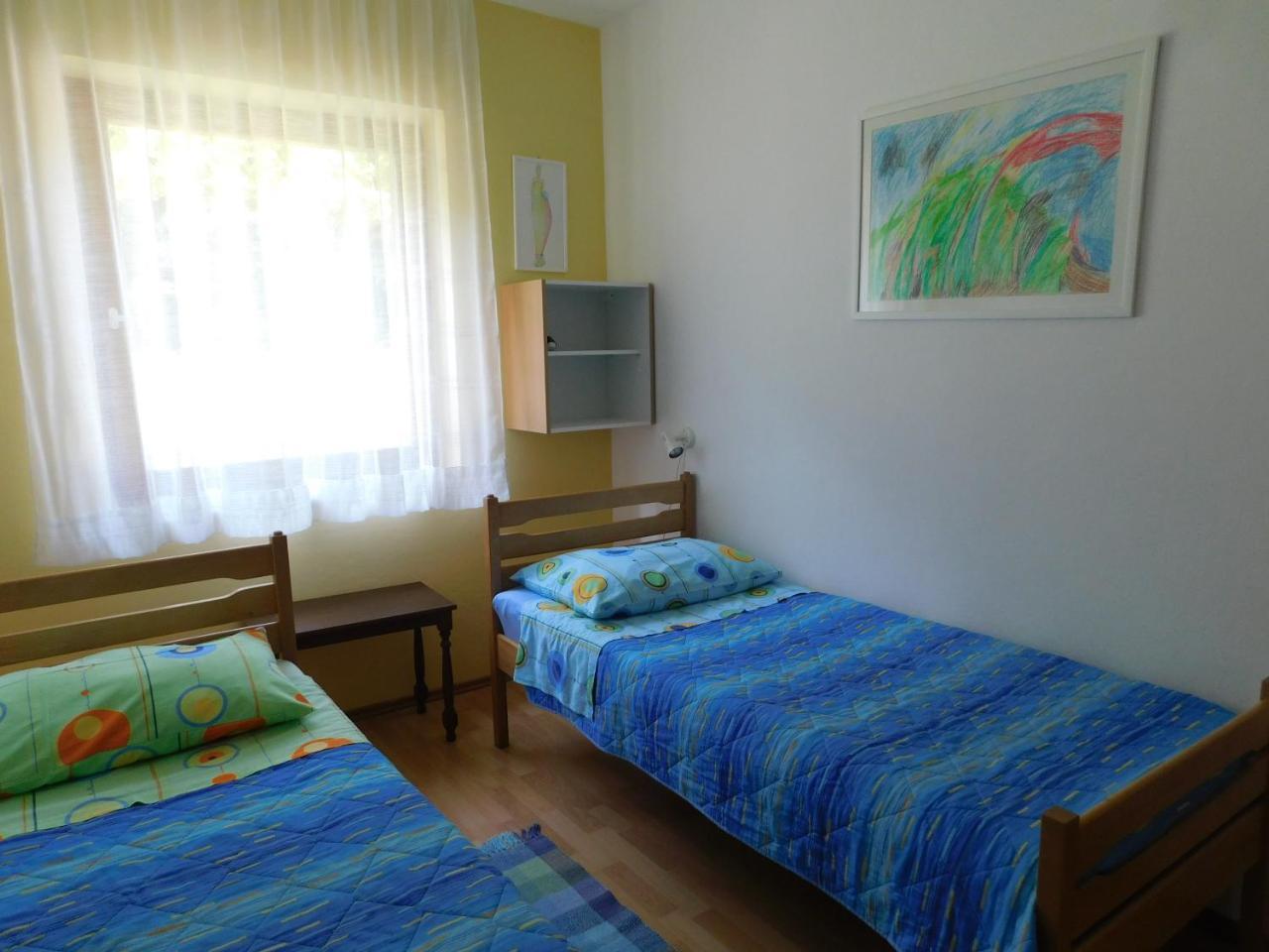 Apartment Neda Z-Velika Okucnica, Besplatni Parking I Opticki Wi-Fi ラビン エクステリア 写真